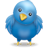 Twitter Icon